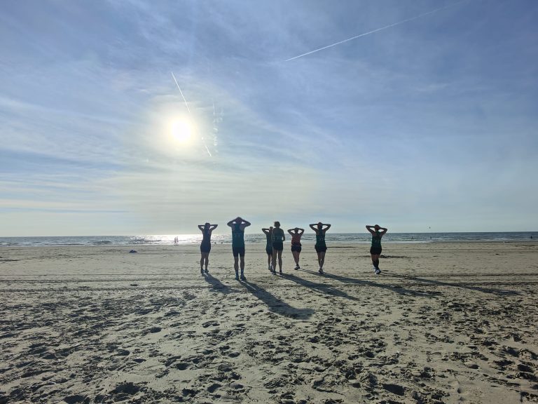 BLW zomer 2026 2